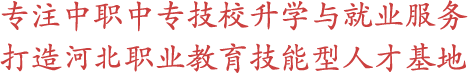 专注中职|中专|技校升学服务打造职业教育技能形人才基地