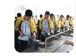 实训实习