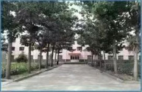 校园环境