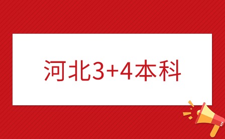 河北3+4本科招生计划人数及学校名单