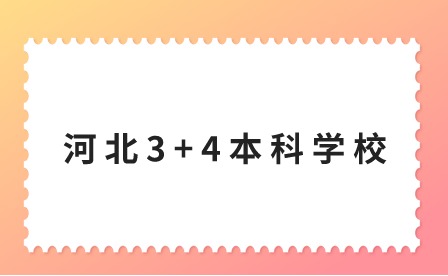 2024年河北3+4本科有哪些学校？