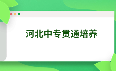 河北中专“3+2”“五年一贯制”“3+4”“2+2+2”贯通培养分别是什么意思?