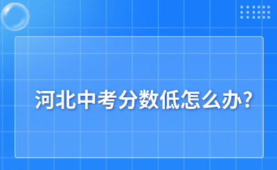 河北中考分数低怎么办?这几个方法让你领先同龄