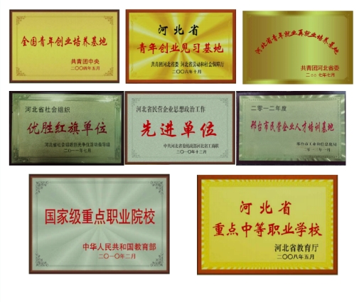 邢台新科技.png