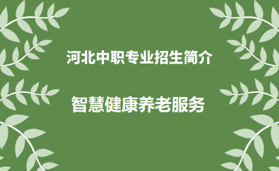 河北中职智慧健康养老服务专业招生情况（2024年更新版）