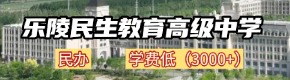 乐陵民生教育高级中学 111